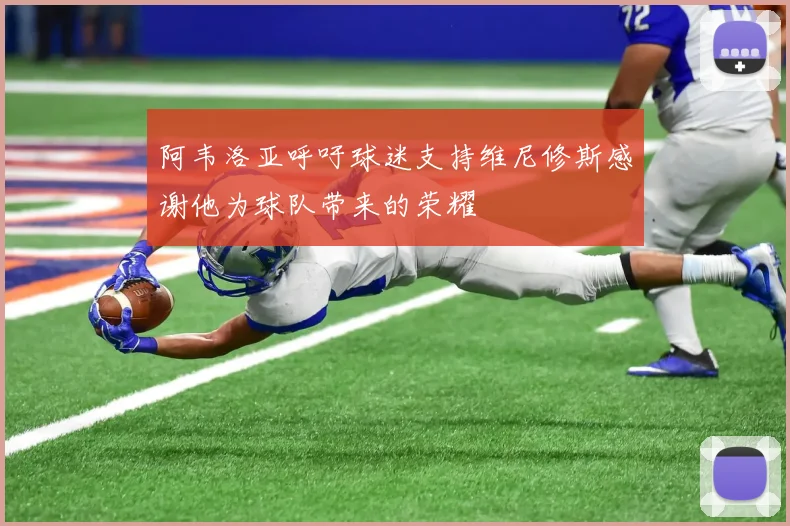 阿韦洛亚呼吁球迷支持维尼修斯感谢他为球队带来的荣耀